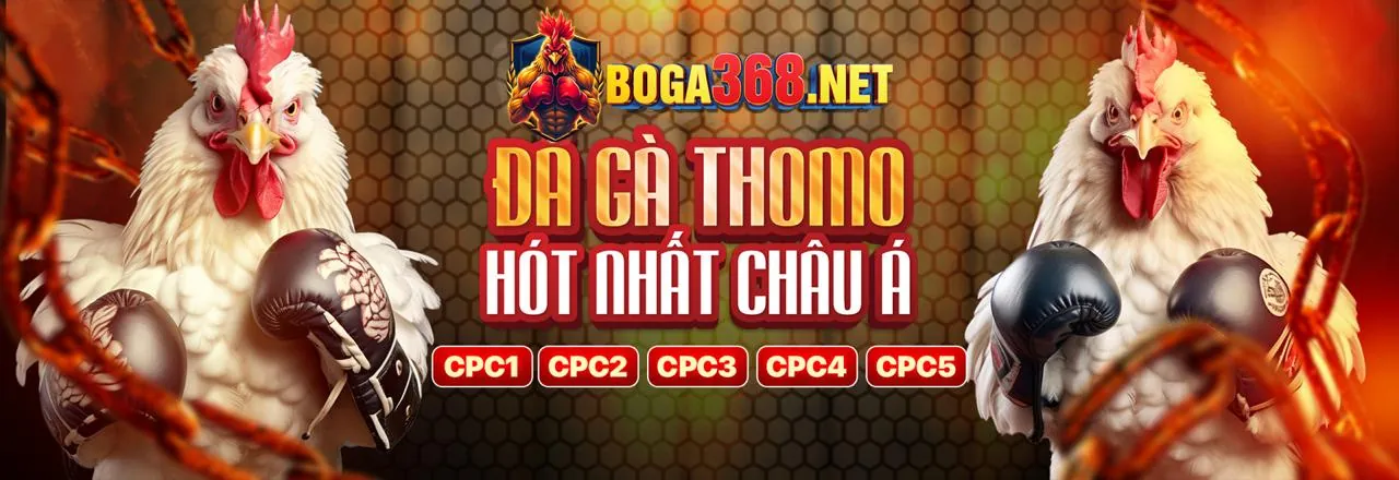 Tài liệu điều khoản dịch vụ chi tiết của 22hello88 link mới